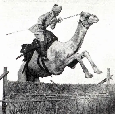 Camel cavalry of Jaisalmer and Marwar