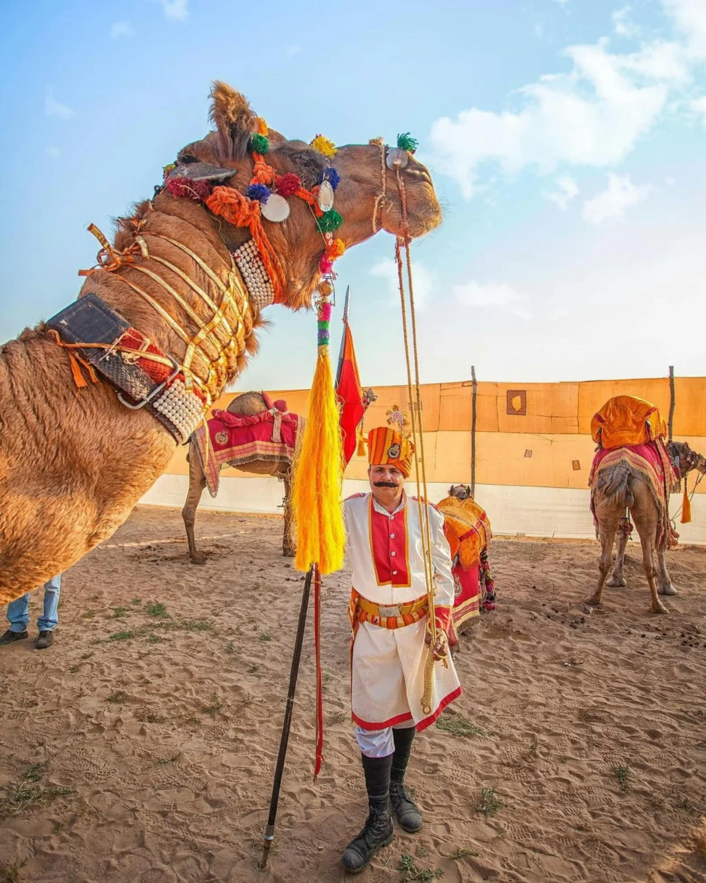 Desert Festival in Jaisalmer; beautifully decorated camel and a traditionally dressed local